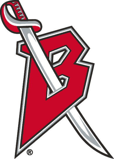Buffalo Sabres 1999-2006 Alternate Logo iron on transfers for fabric version 2